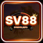 SV88 profile picture