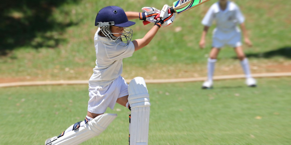 Cricket Enthusiasts Unite: The Impact of Reddy Anna Book on Sports Communities.