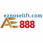 AE888 eznoselift Profile Picture