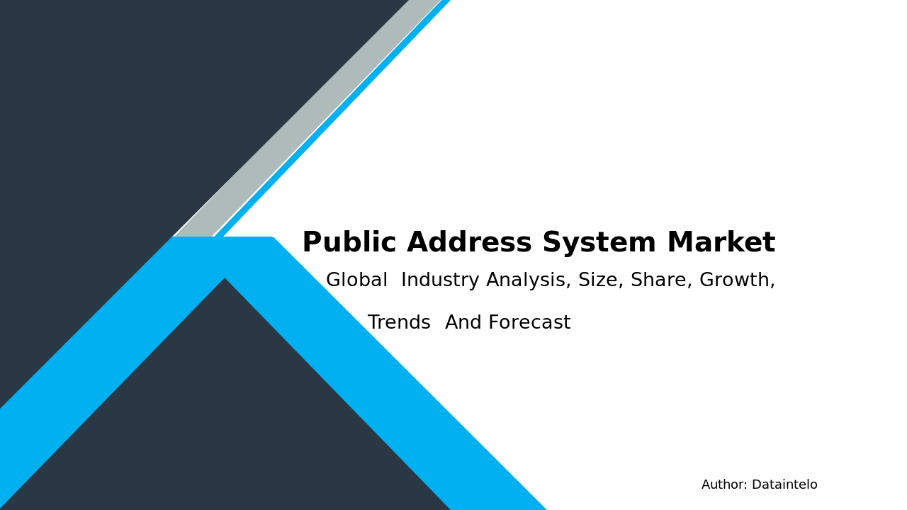 Public Address System Market Research Report 2032