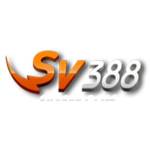 SV388 profile picture