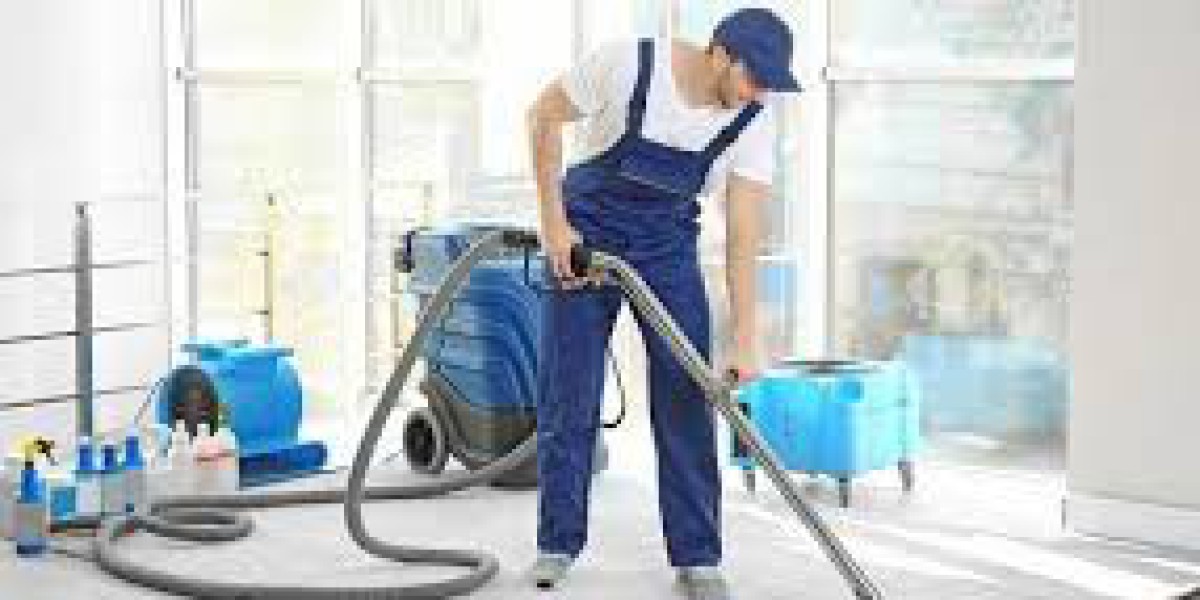 The Advantages of Professional Carpet Cleaning for Home Health